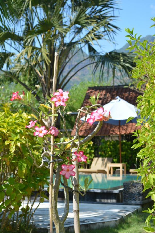 Sunia Loka Bungalows & Dive Center Пемутеран Экстерьер фото